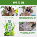 Ratsfestigkeit schmutziger Hund konzentriert Shampoo für Hunde
